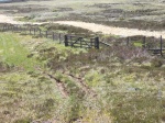 Leave the track at this gate to head across the moor if you fancy it, otherwise stay on the track. 